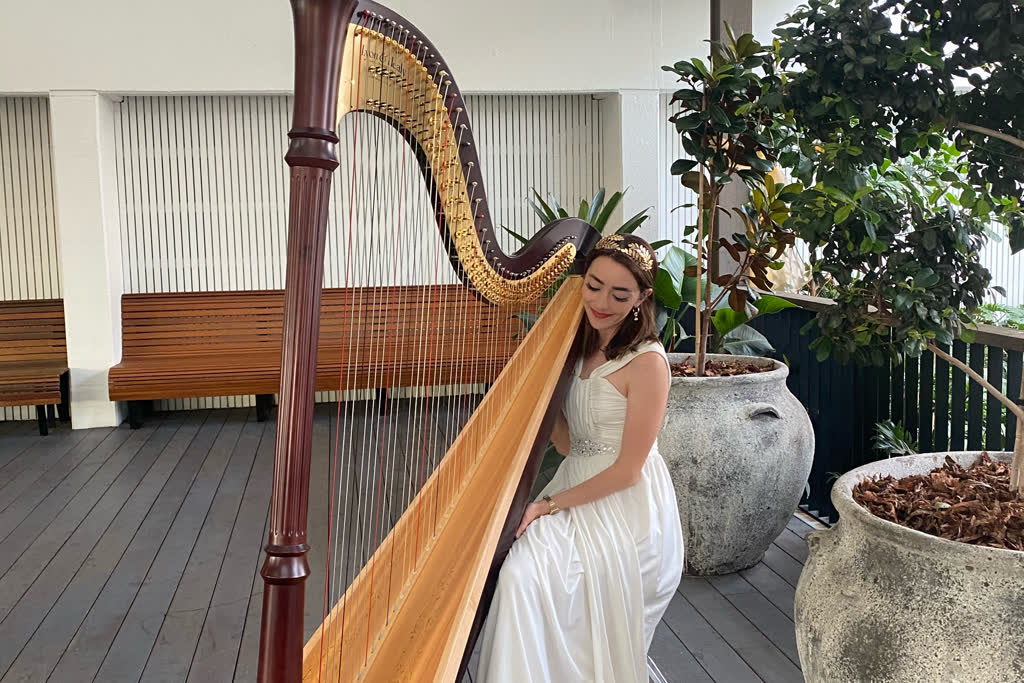 Janita Billingham - Harpist