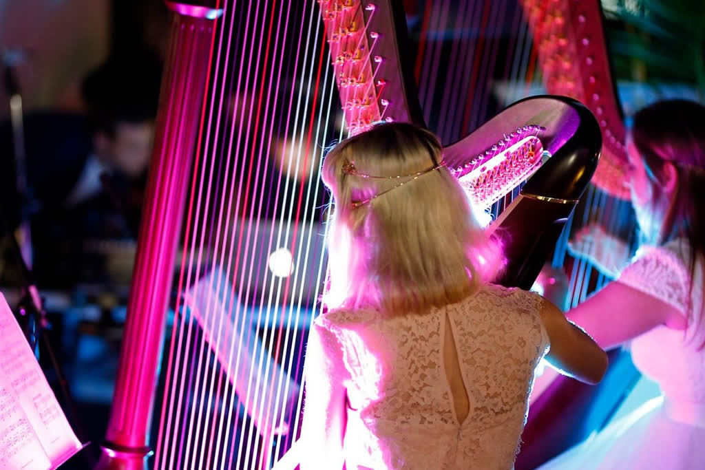Janita Billingham - Harpist