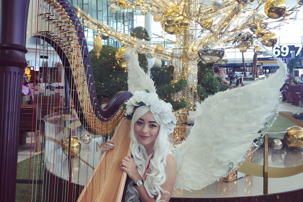 Janita Billingham - Harpist