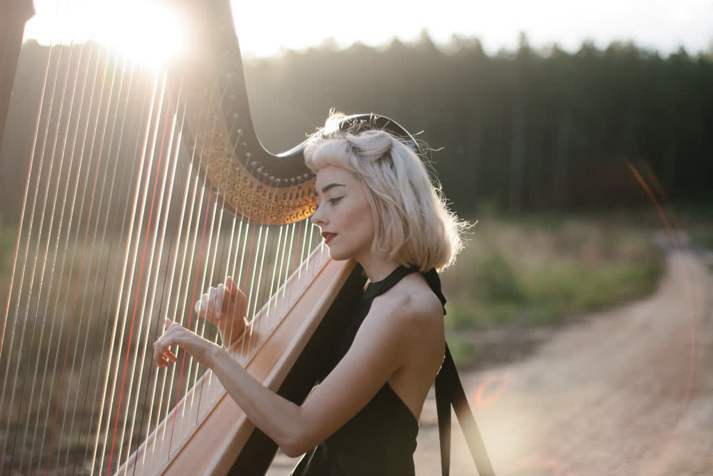 Janita Billingham - Harpist
